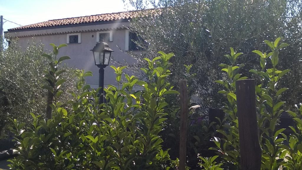 Villa Seacily Etna House Piedimonte Etneo Exterior foto